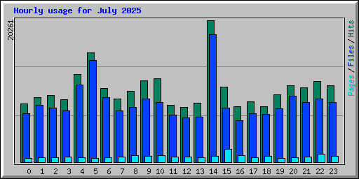 Hourly usage for July 2025