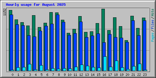 Hourly usage for August 2025
